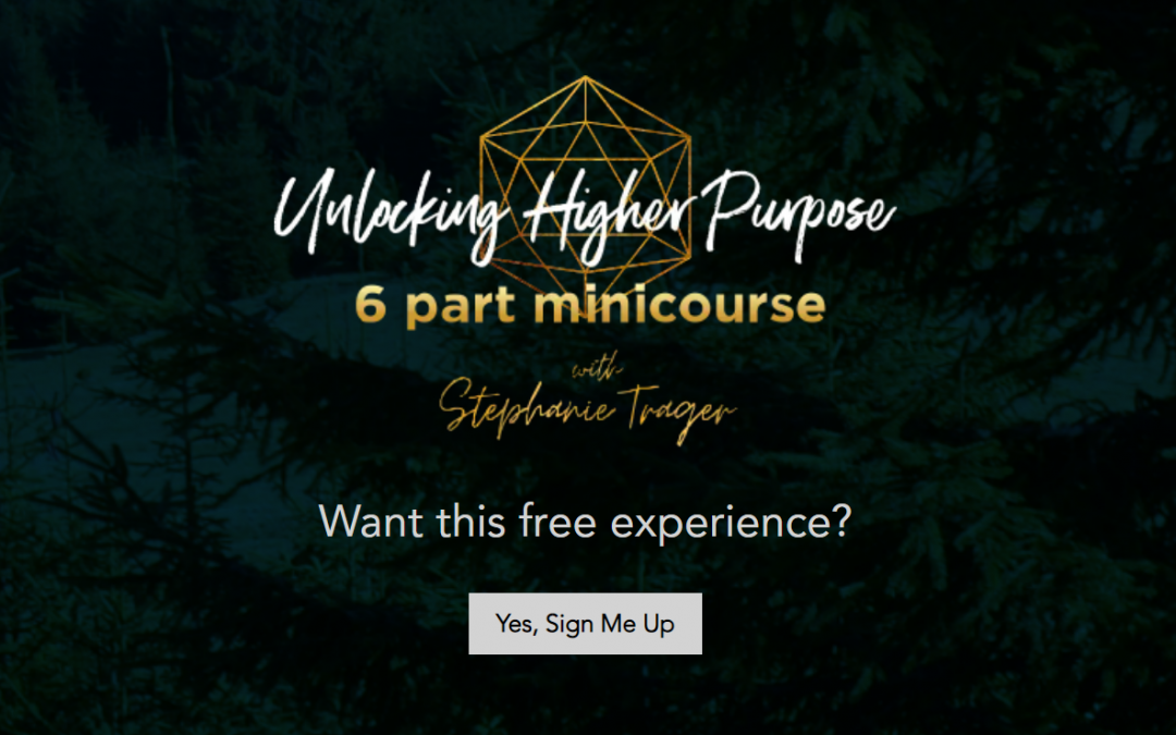 Unlocking Higher Purpose: 6 Part Mini Course