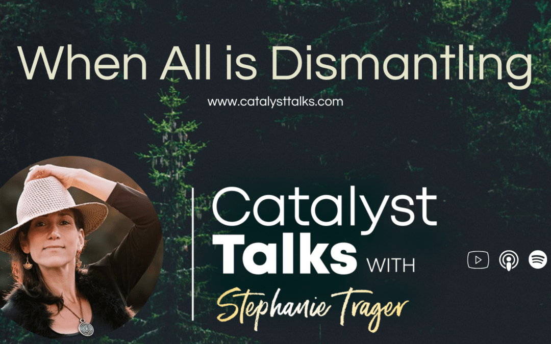 #41 When All is Dismantling with Stephanie Trager