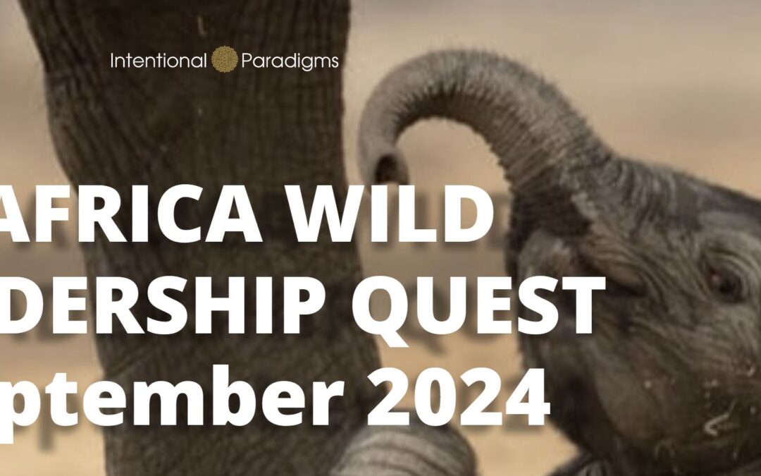 Africa Quest 2024