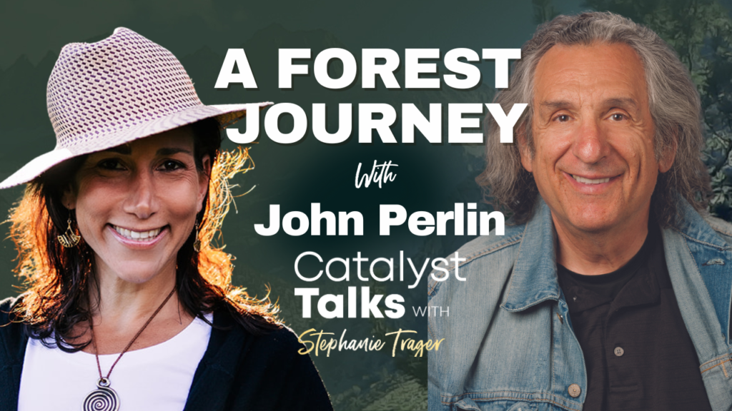 A Forest Journey with John Perlin